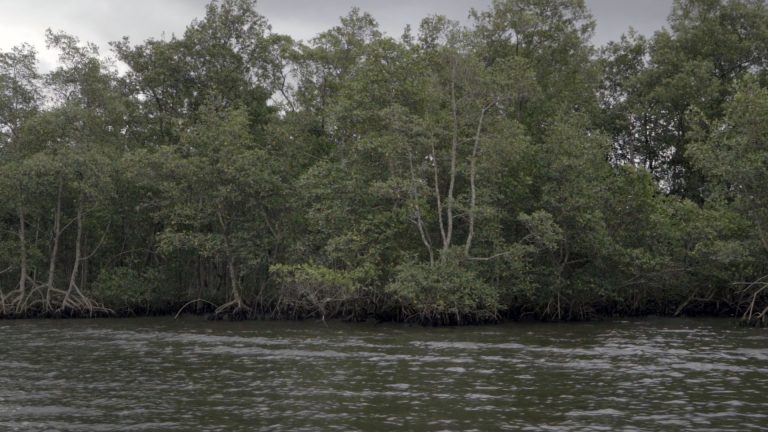 Webinar Selo ESG Porto de Santos